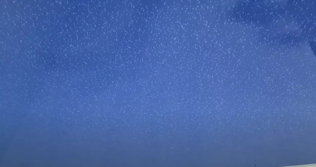 Комсомольск-на-Амуре, Дикопольцева, 35, фото 3